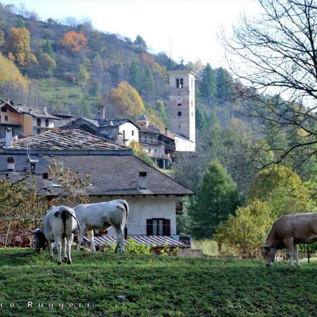 Villa Agriturismo Il Mulino Delle Fucine Casteldelfino Exterior foto